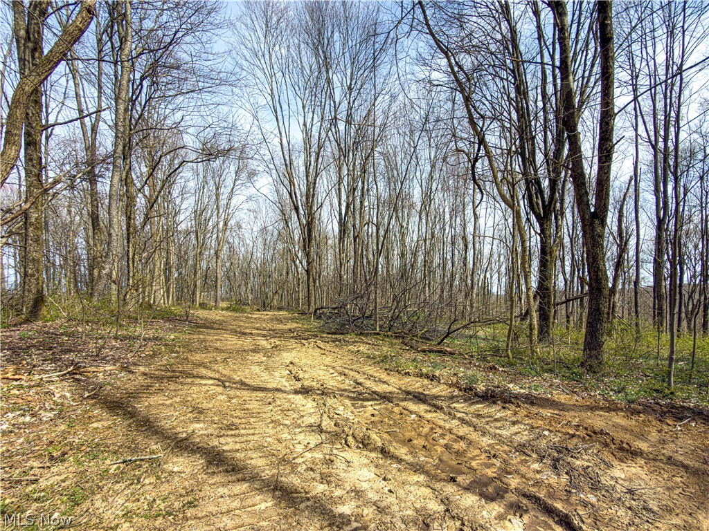 0 St Rt 258 Port Port Washington, OH 43837 - Photo 20 of 28