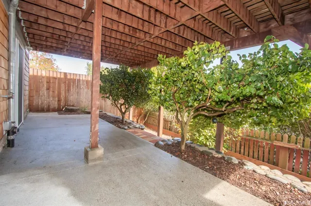 a view of a backyard