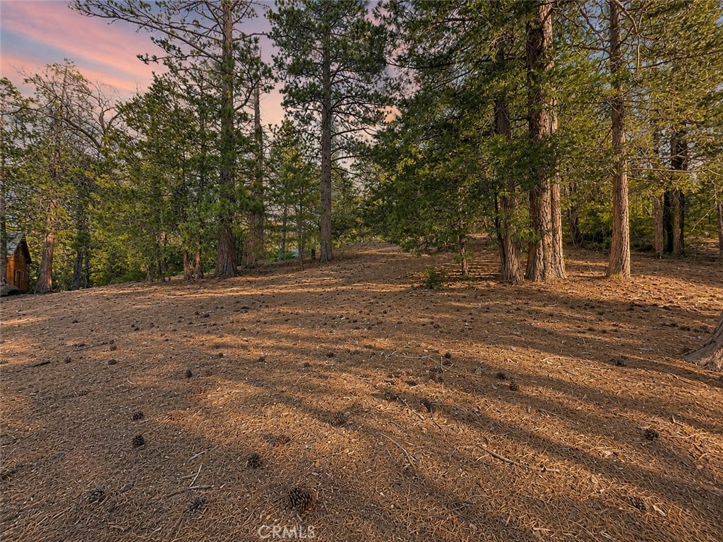 25400 Marion Ridge Drive Idyllwild, CA 92549 - Photo 9 of 22