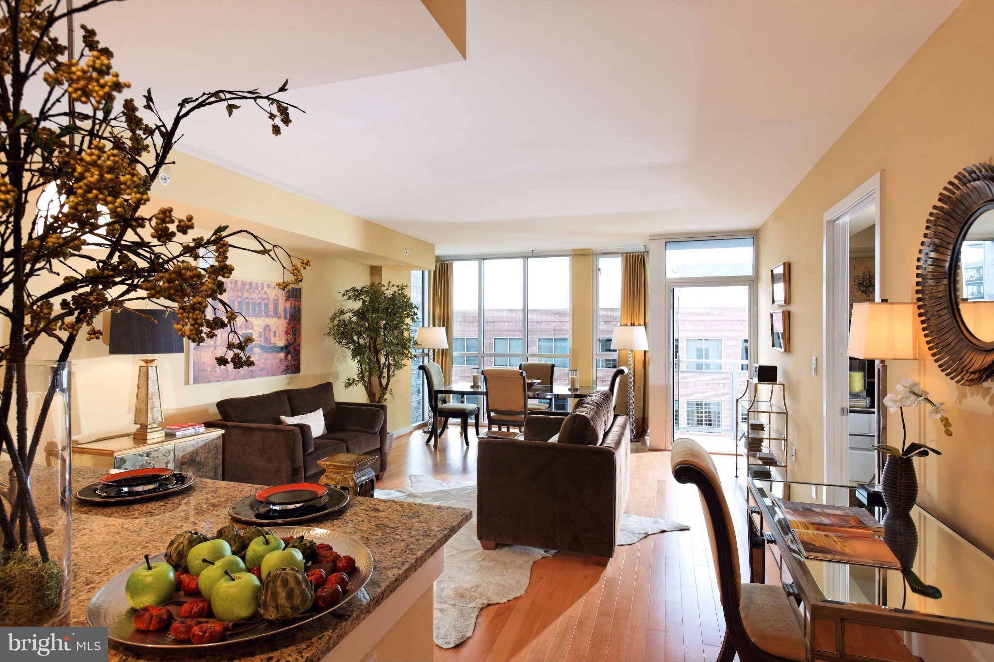 1025 First Street Southeast, Unit 202 Washington, DC 20003 - Photo 1 of 15 Interior (General)