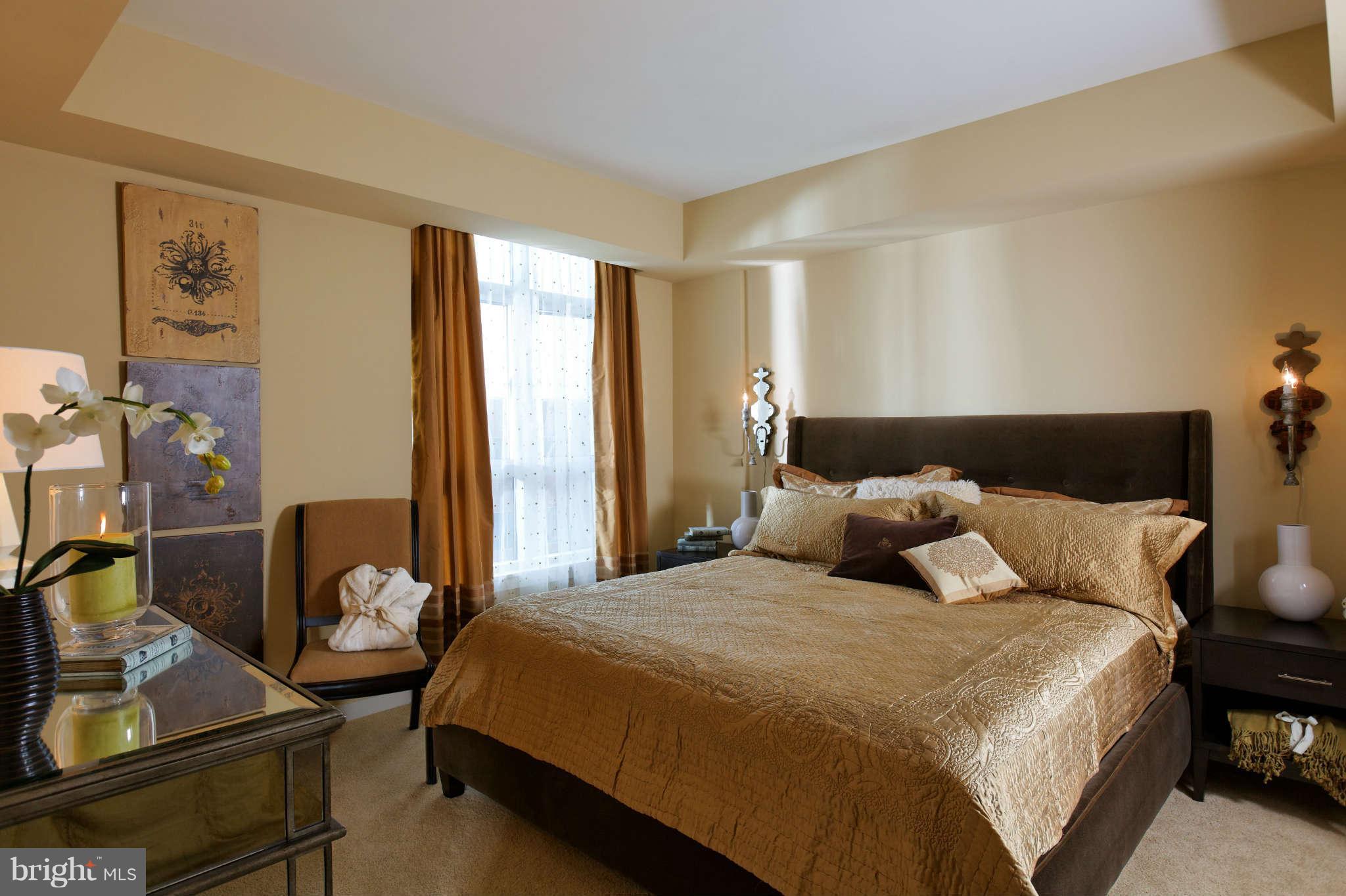 1025 First Street Southeast, Unit 202 Washington, DC 20003 - Photo 3 of 15 Bedroom (Master)