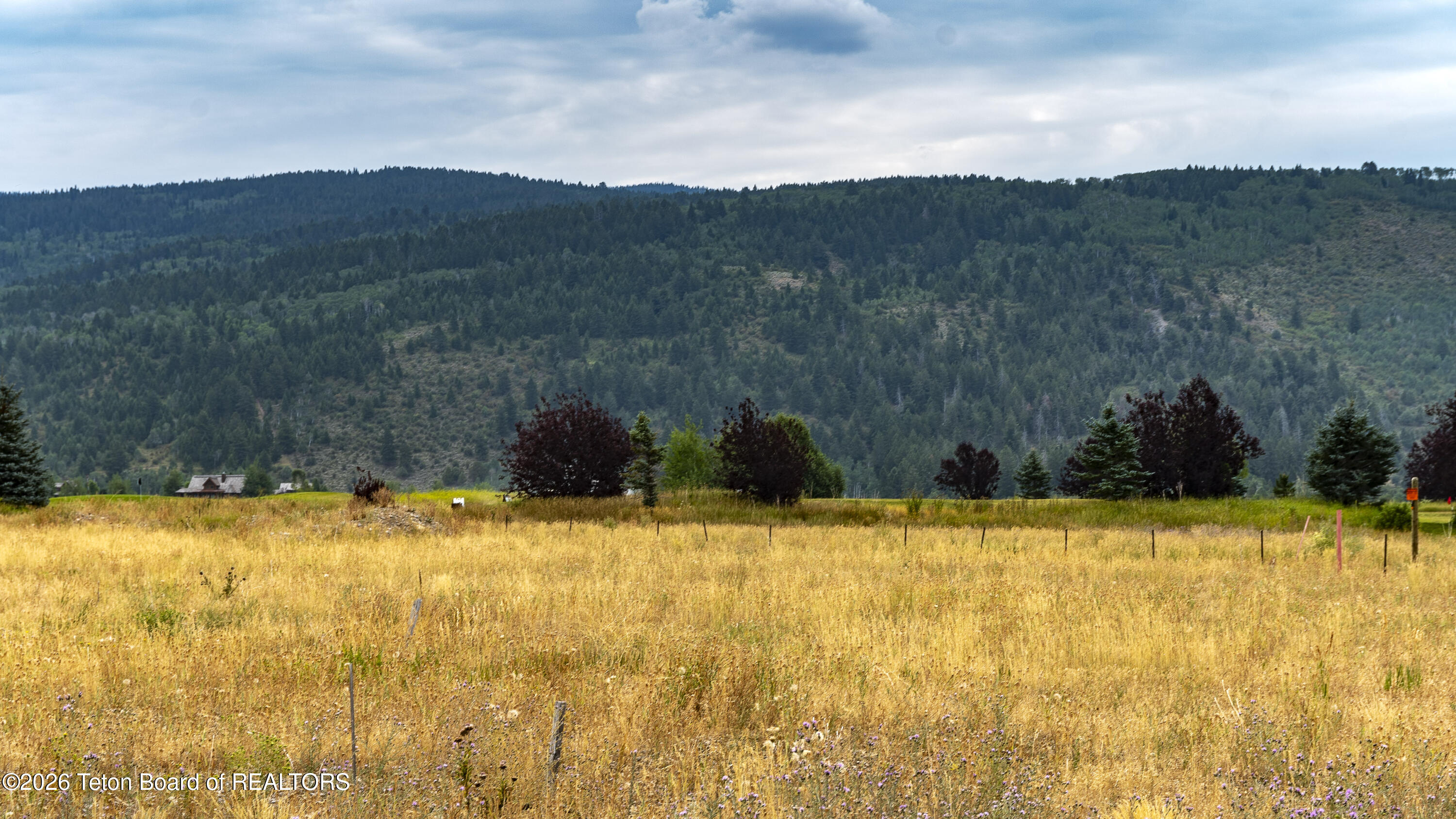 87-95 Bison Drive Victor, ID 83455 - Photo 2 of 5 _1022888