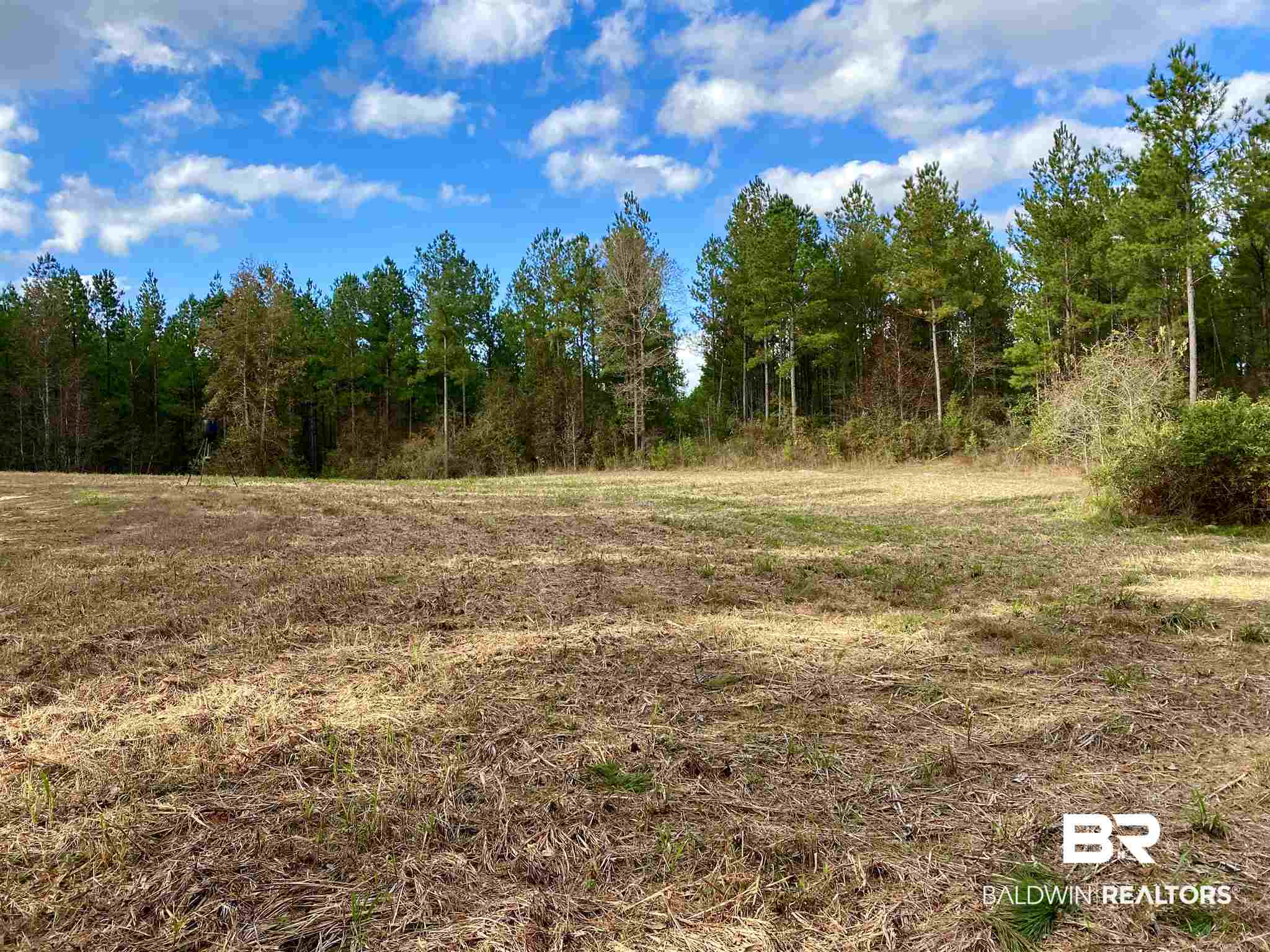 0 Whitetail Run Chatom, AL 36518 - Photo 18 of 29