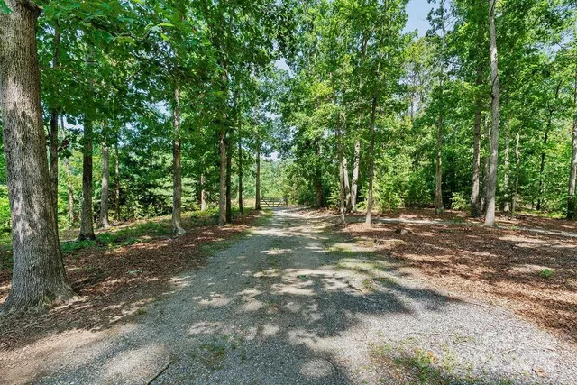 a view of outdoor space with trees all around