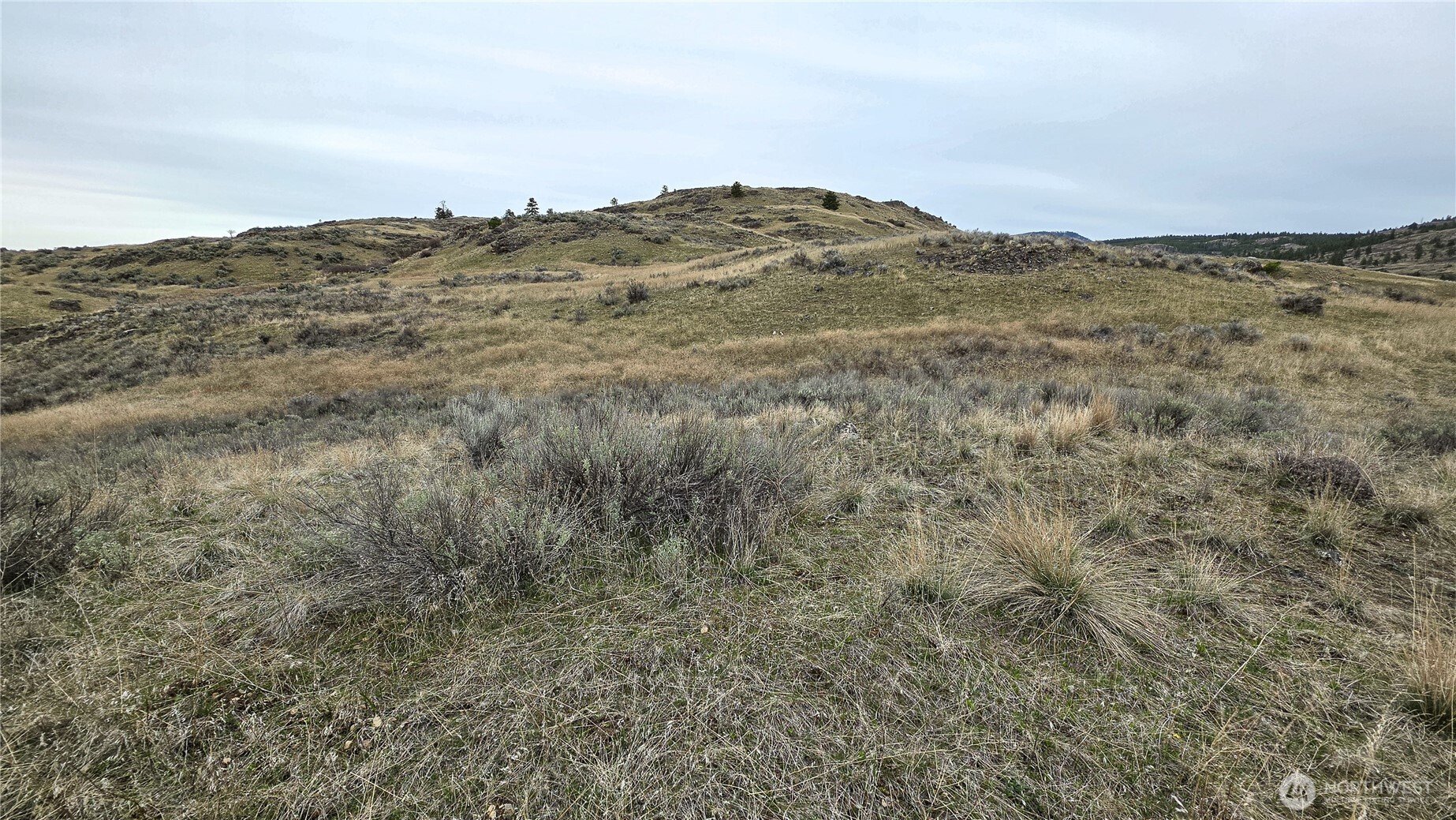 174 Round Up Road Oroville, WA 98844 - Photo 13 of 40