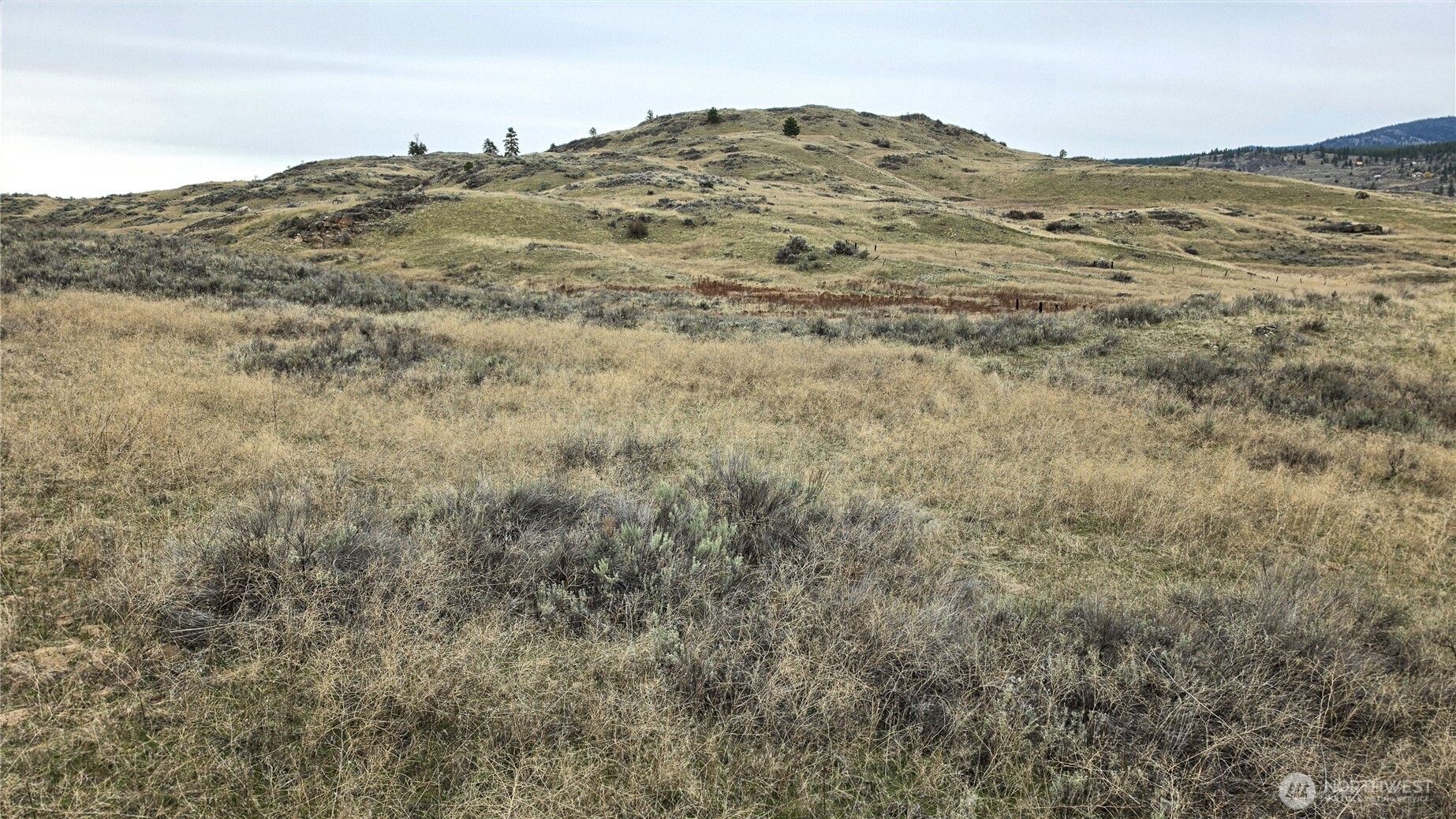 174 Round Up Road Oroville, WA 98844 - Photo 23 of 40