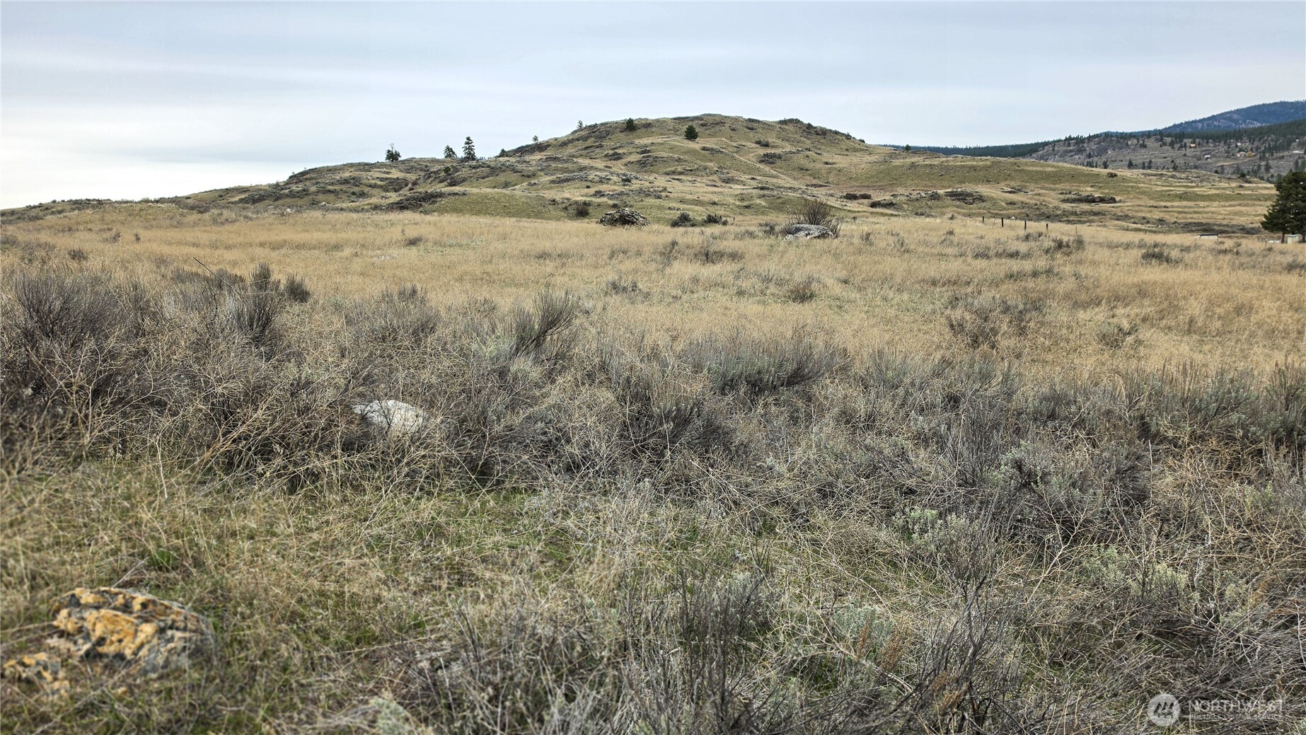 174 Round Up Road Oroville, WA 98844 - Photo 27 of 40