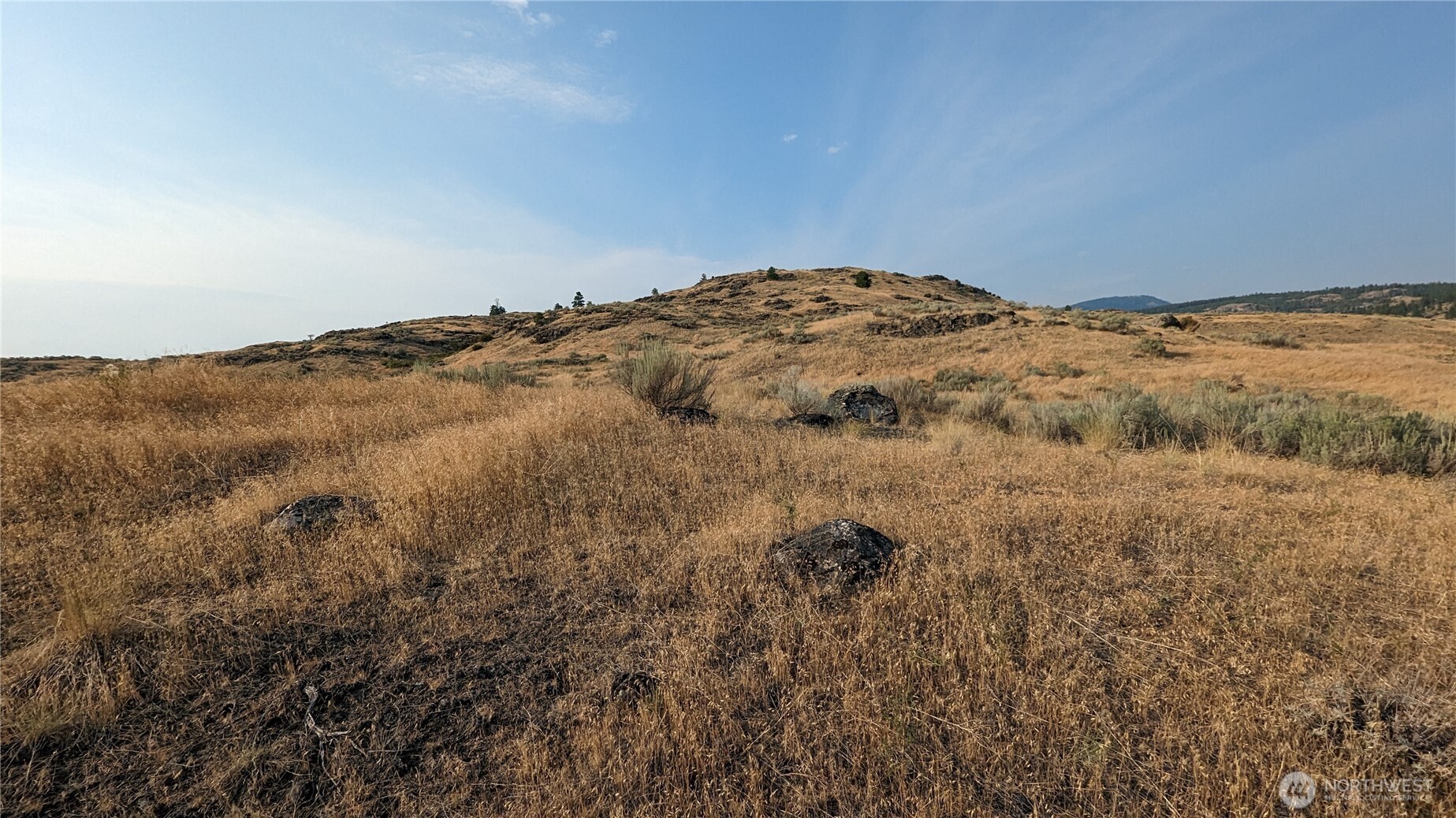 174 Round Up Road Oroville, WA 98844 - Photo 31 of 40