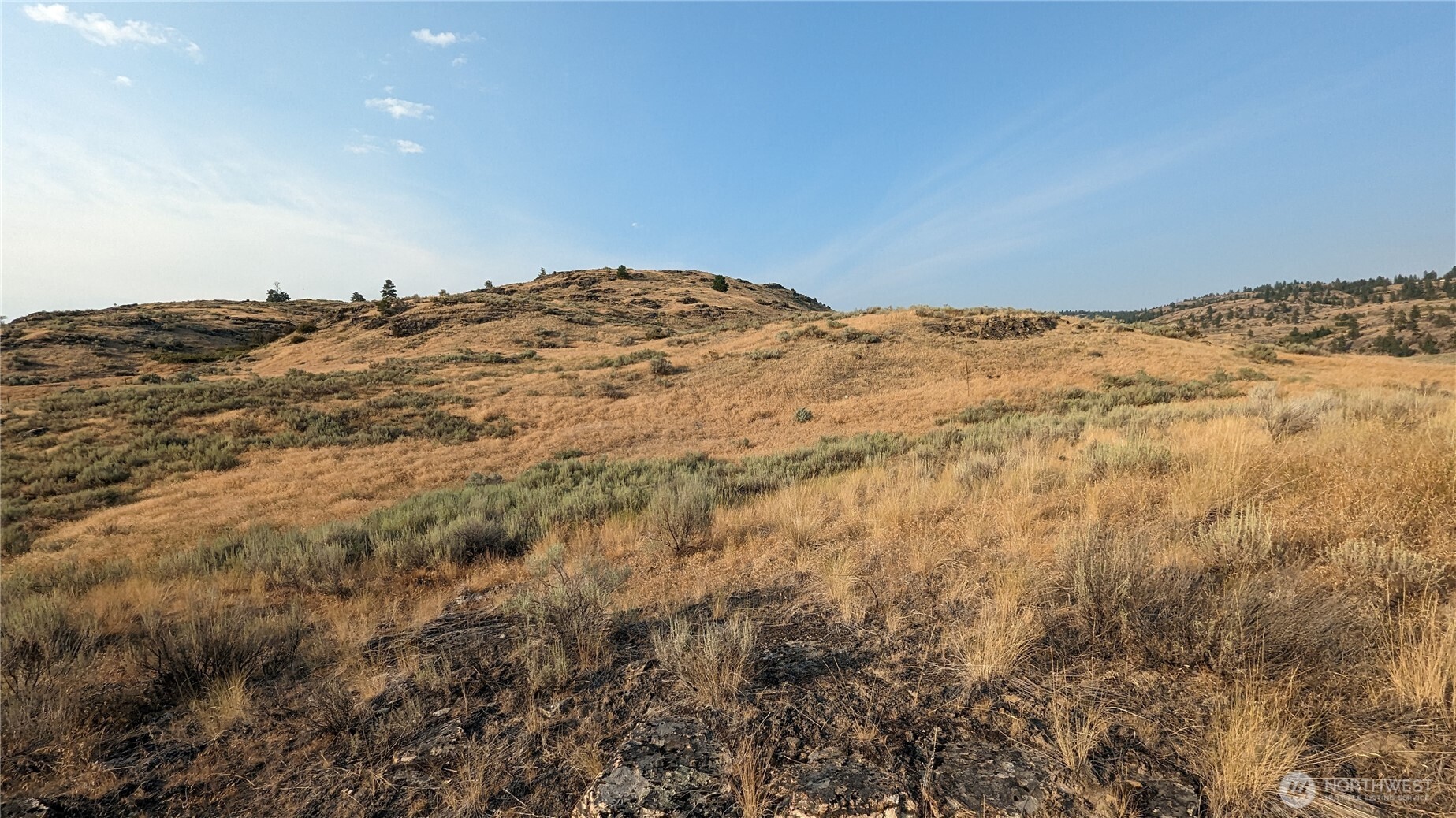 174 Round Up Road Oroville, WA 98844 - Photo 33 of 40