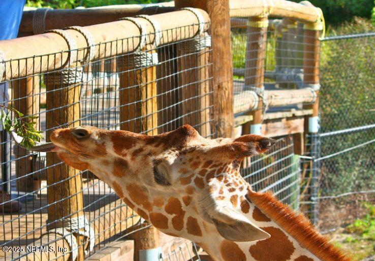 7496 Queensgate Circle Jacksonville, FL 32219 - Photo 38 of 43 Jacksonville Zoo