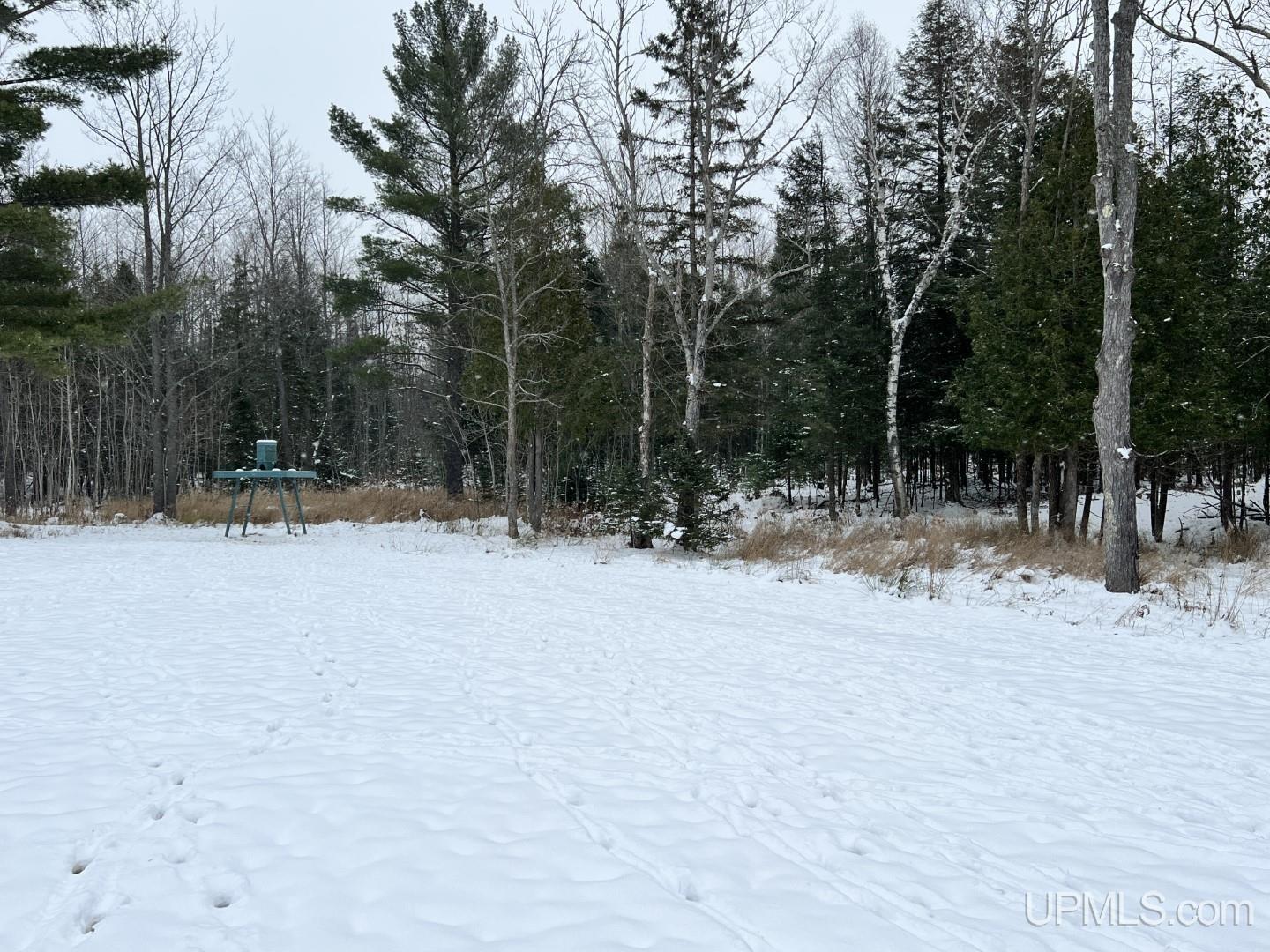 105 Tuttle Avenue L'Anse, MI 49946 - Photo 51 of 66