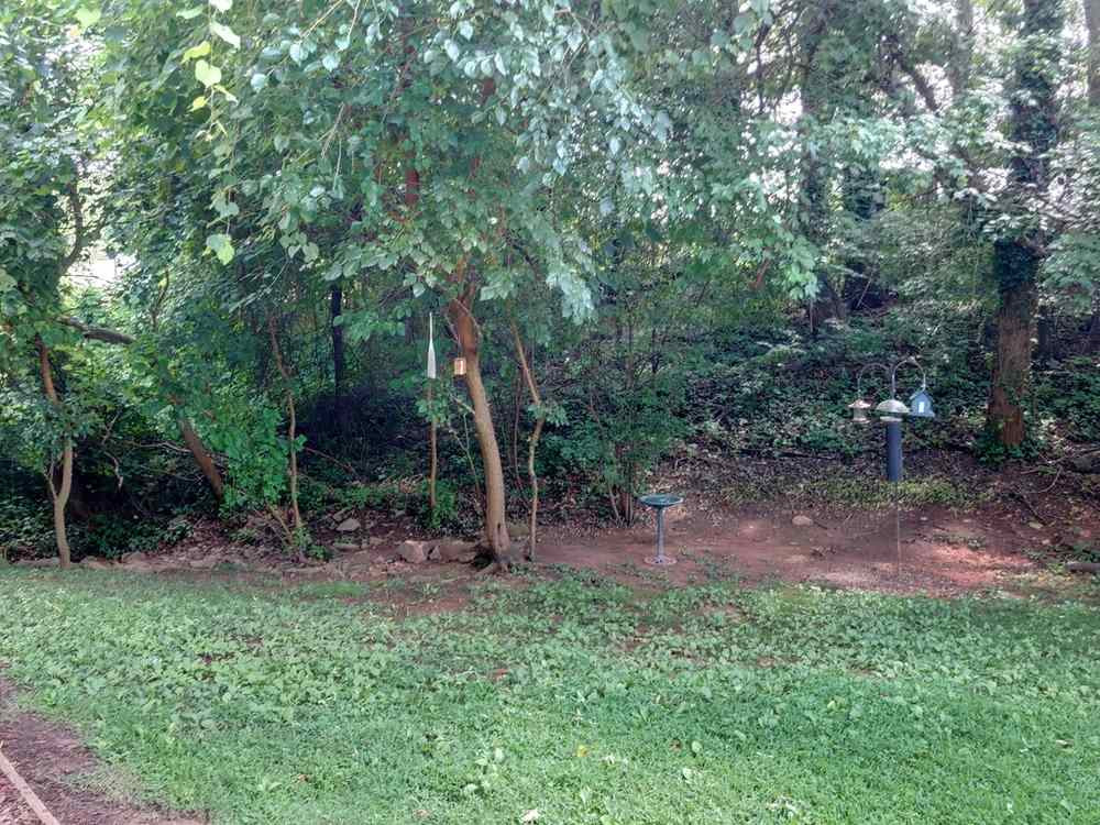 2801 Edridge Court, Unit 102 Raleigh, NC 27607 - Photo 23 of 23 Photo 23