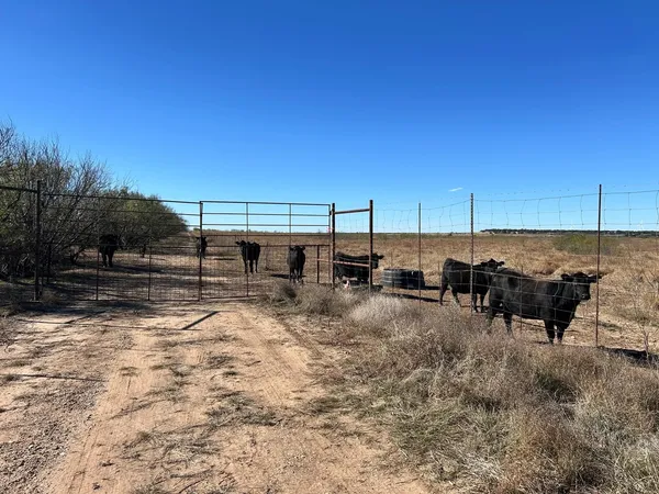 $99,999 | Lot 5 Us 283, Brady, TX 76825
