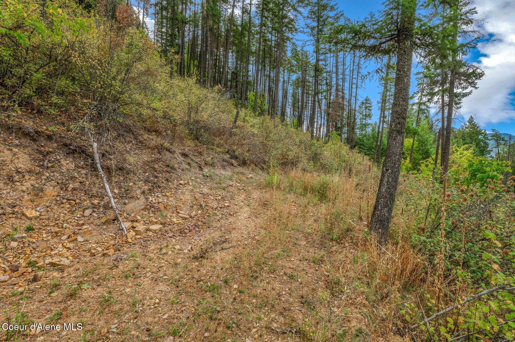 818 Silver Creek Road Clark Fork, ID 83811 - Photo 38 of 45 Cleared