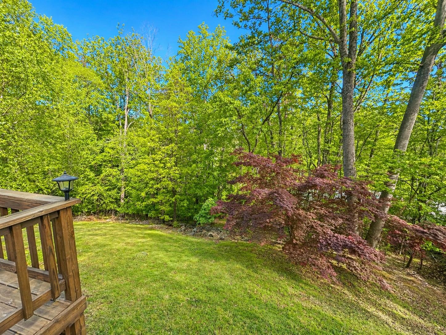 104 Bentwood Drive Blue Ridge, VA 24064 - Photo 5 of 19