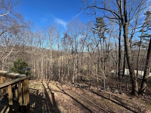 104 Bentwood Drive Blue Ridge, VA 24064 - Photo 6 of 19 a view of a yard