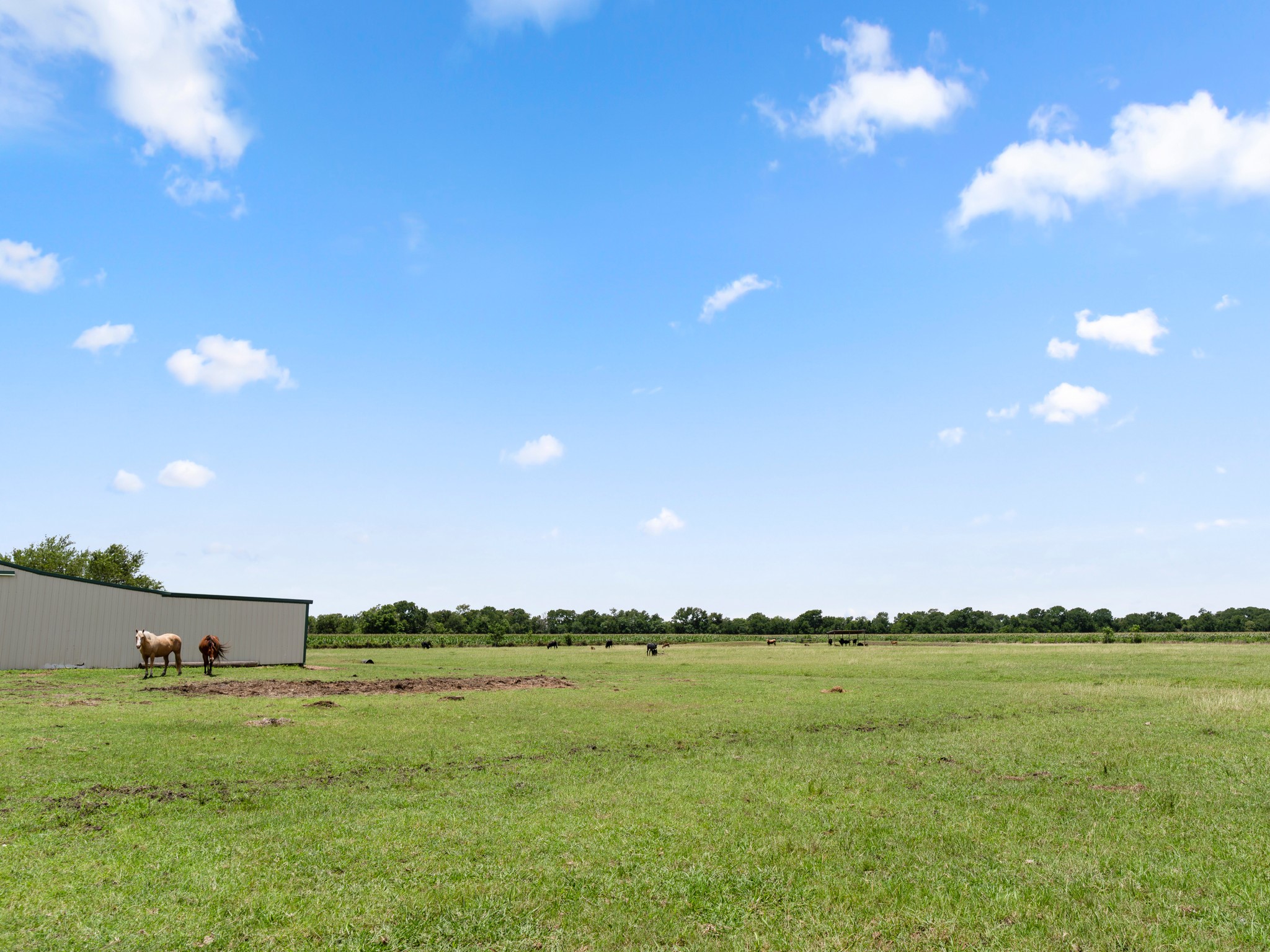 10630 Brinkmeyer Road Needville, TX 77461 - Photo 48 of 50 a view of a lush green field
