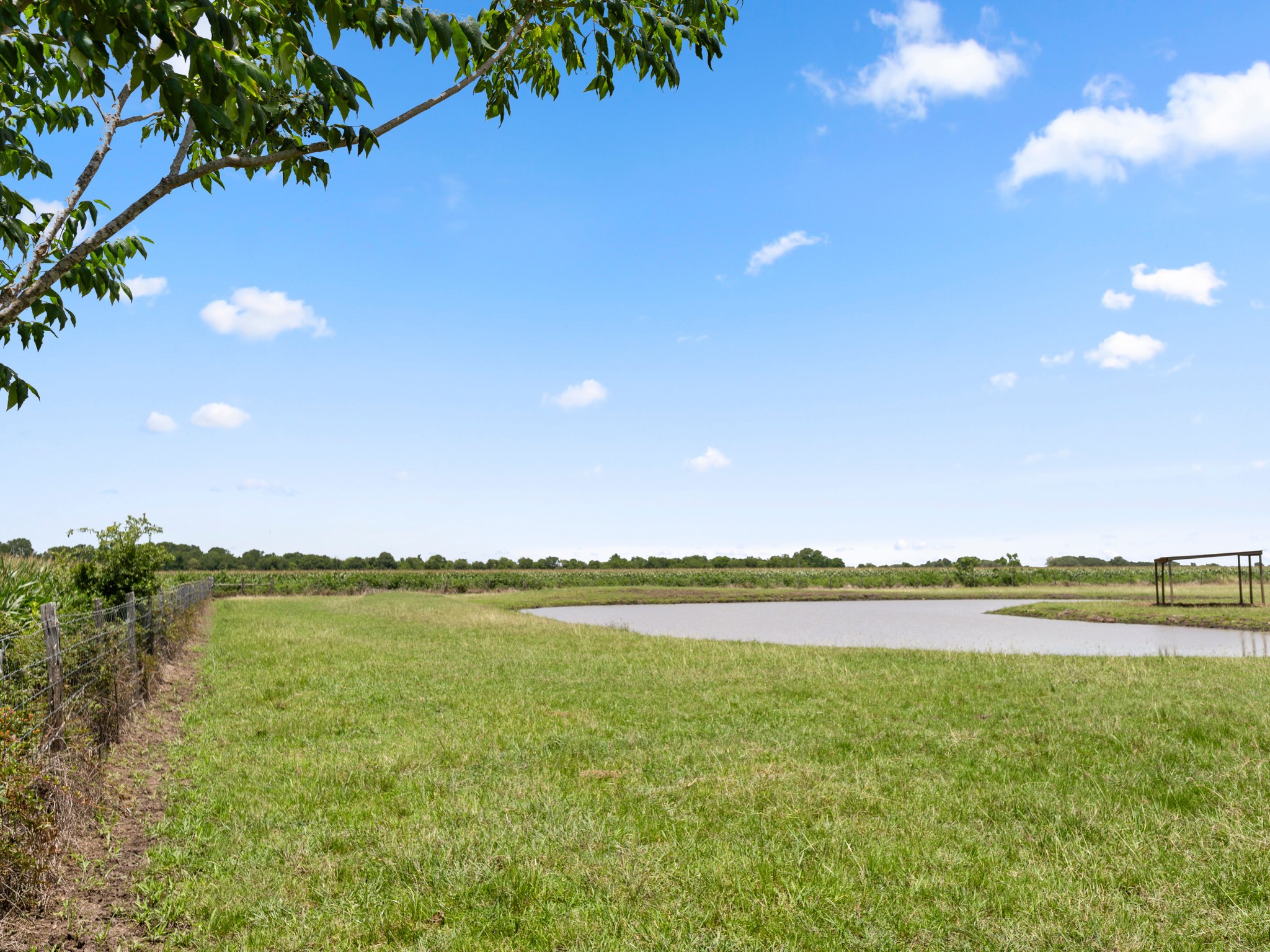 10630 Brinkmeyer Road Needville, TX 77461 - Photo 50 of 50 a view of a lake and a trees in the background