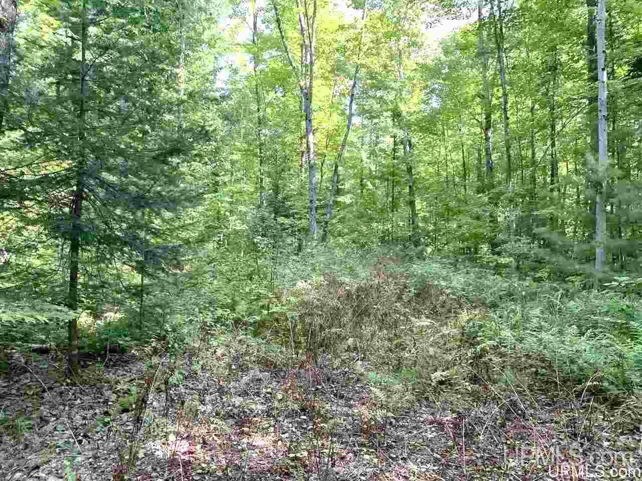 171 Blue Road Mass City, MI 49948 - Photo 5 of 13