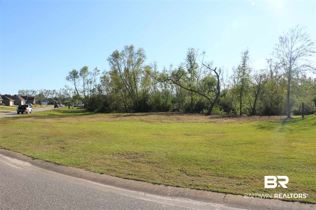 Lot 41 Thames Drive Foley, AL 36535 - Photo 1 of 14