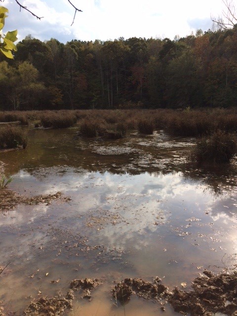 0 Bowen Ford Road Belton, SC 29627 - Photo 5 of 8 Gallery Image 5