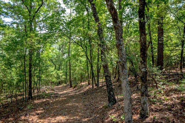229 Fox Pond Road Aiken, SC 29801 - Photo 2 of 6