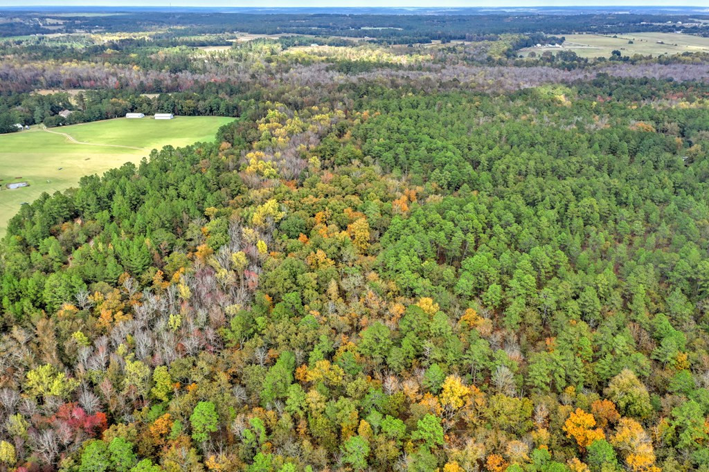 229 Fox Pond Road Aiken, SC 29801 - Photo 3 of 6