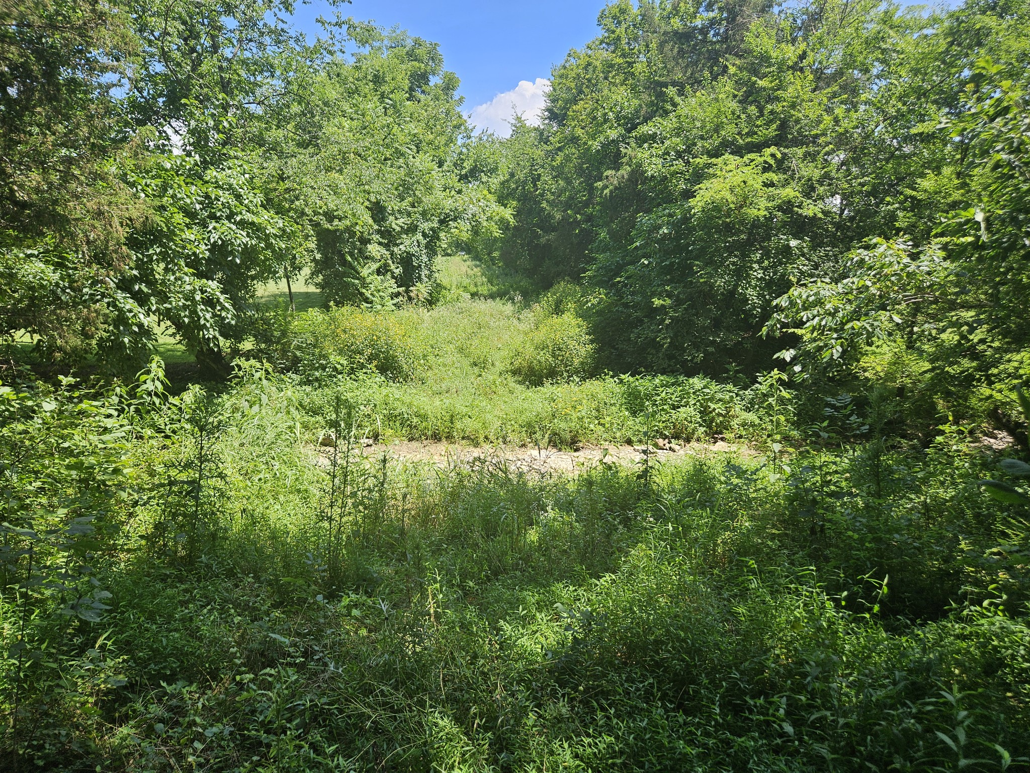 3720 Southeast Tater Peeler Road Lebanon, TN 37090 - Photo 5 of 20