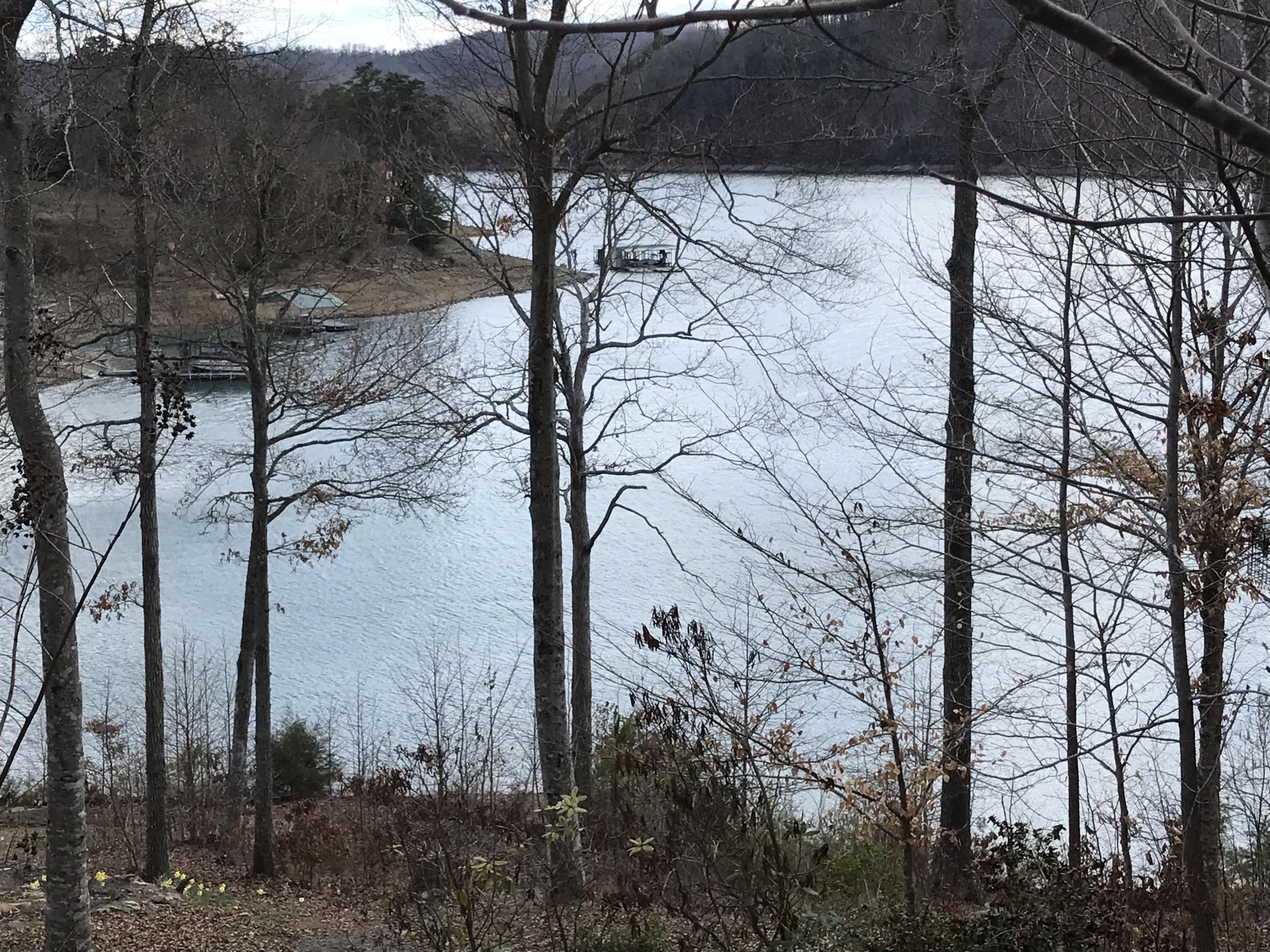 Big Ridge Point Sharps Chapel, TN 37866 - Photo 1 of 6 Spectacular View