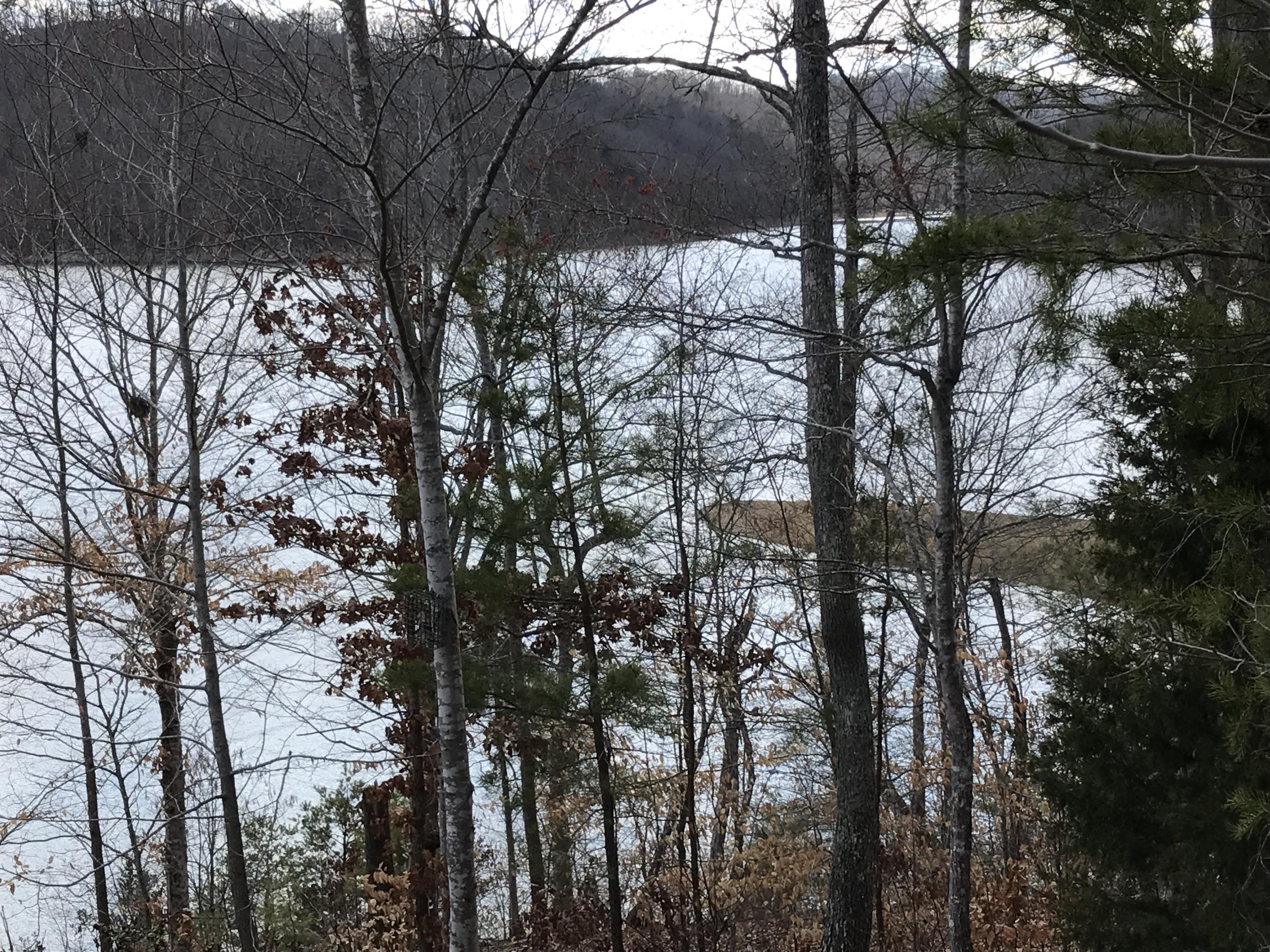 Big Ridge Point Sharps Chapel, TN 37866 - Photo 2 of 6 Looking across to Big Ridge State Park