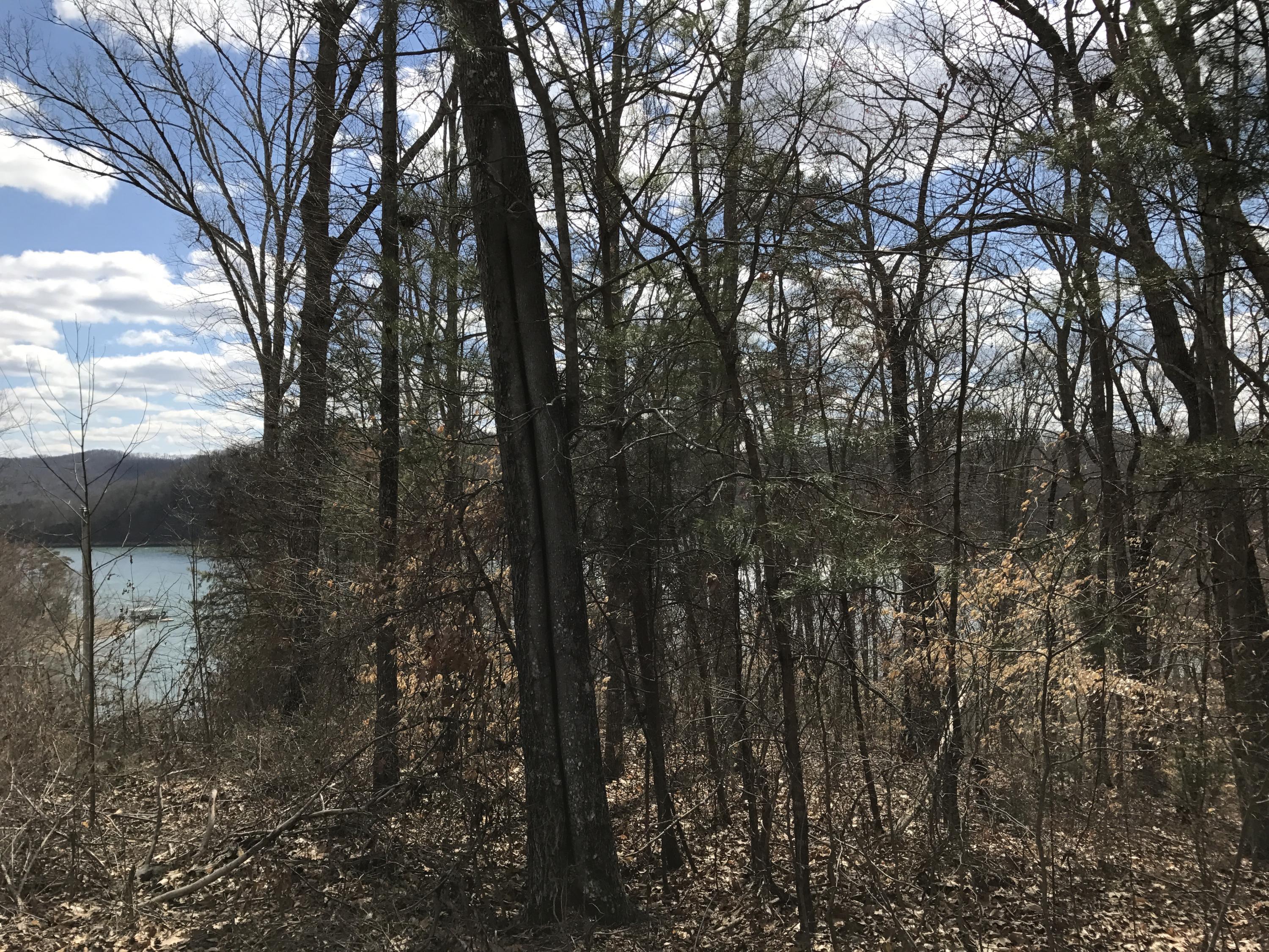 Big Ridge Point Sharps Chapel, TN 37866 - Photo 5 of 6 Lake View