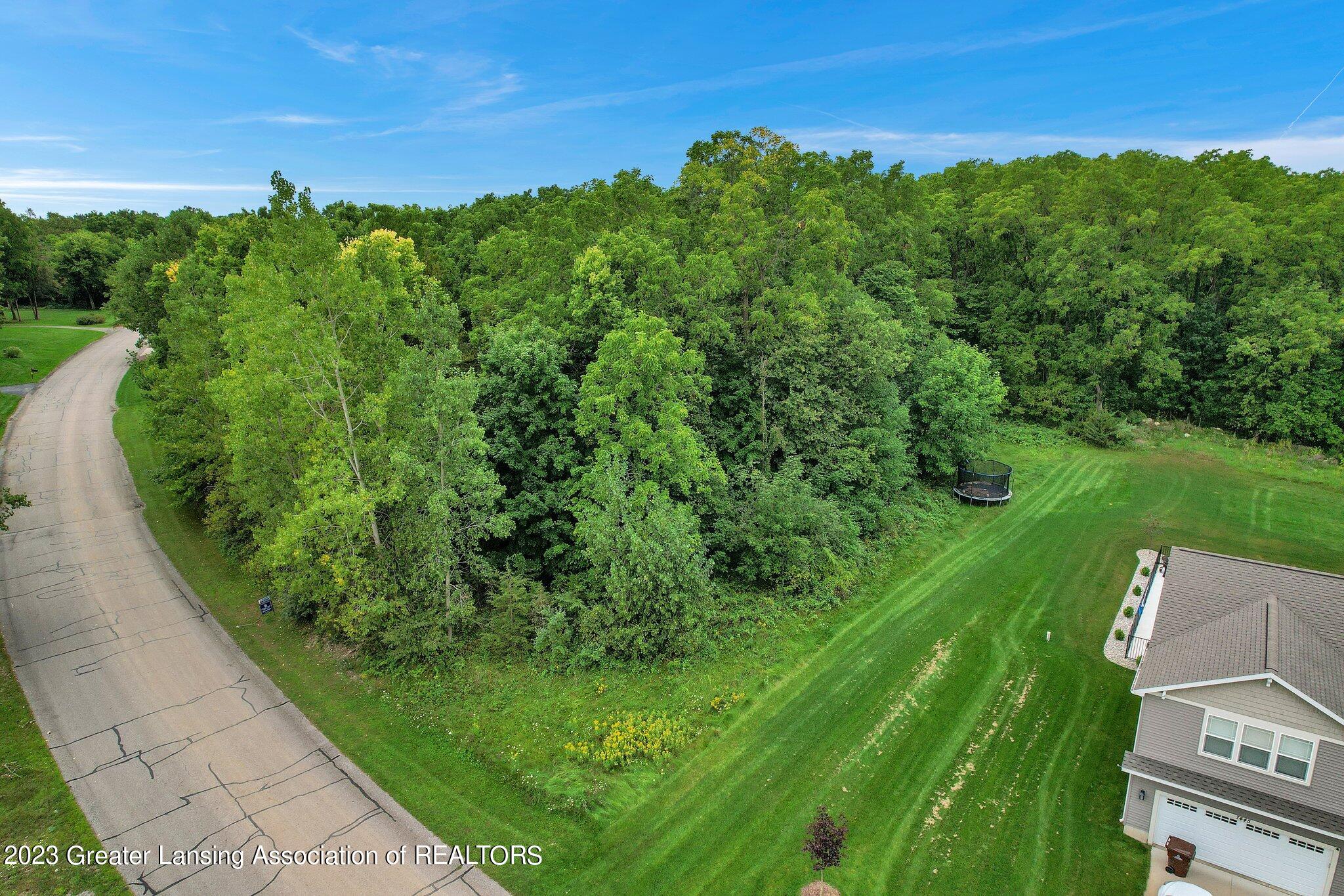 36 Cedar Ridge Drive Portland, MI 48875 - Photo 5 of 10 1-web-or-mls-Open Ended Media-1