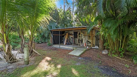 a view of a backyard with a tree