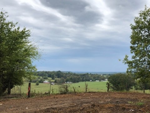 4130 Beasleys Bend Road Lebanon, TN 37087 - Photo 5 of 13