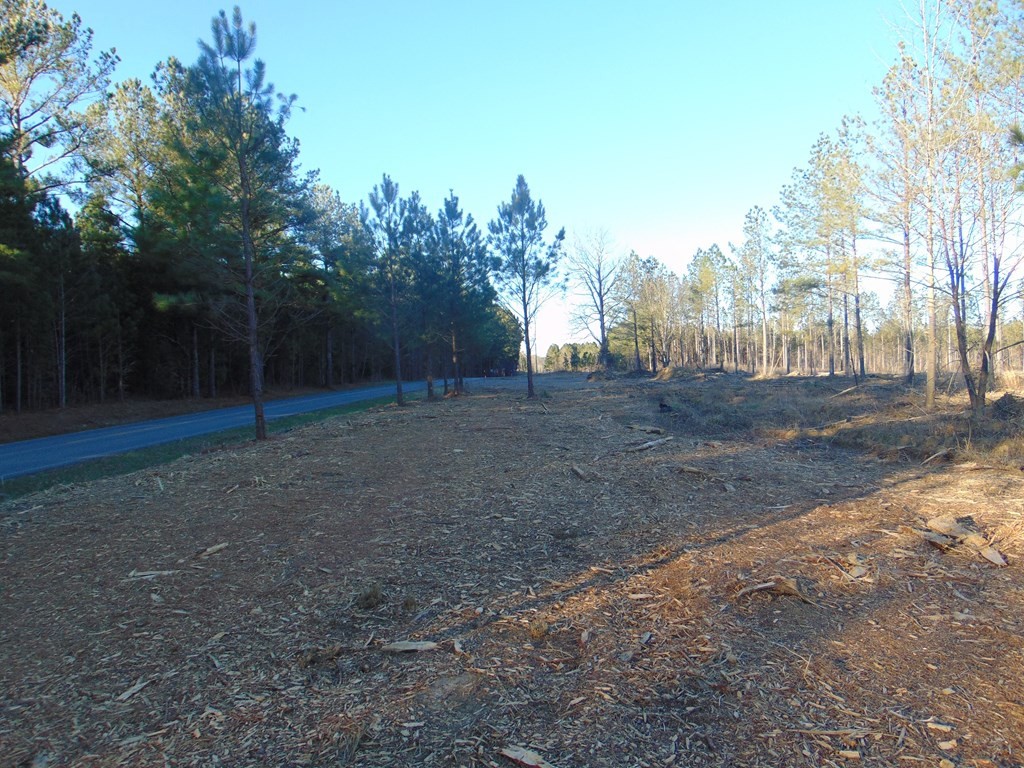 0 Hughes Lake Road Southeast Cleveland, TN 37323 - Photo 4 of 5