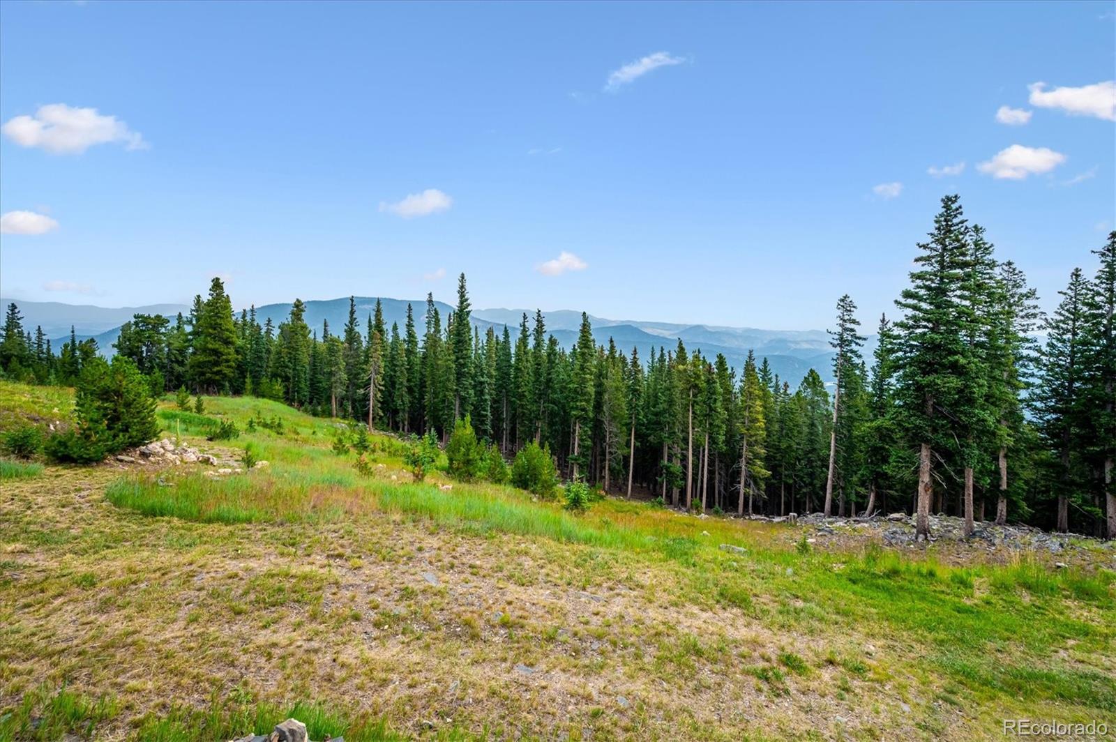 1539 Raven Rdg Road Idaho Springs, CO 80452 - Photo 42 of 50 Gallery Image 42