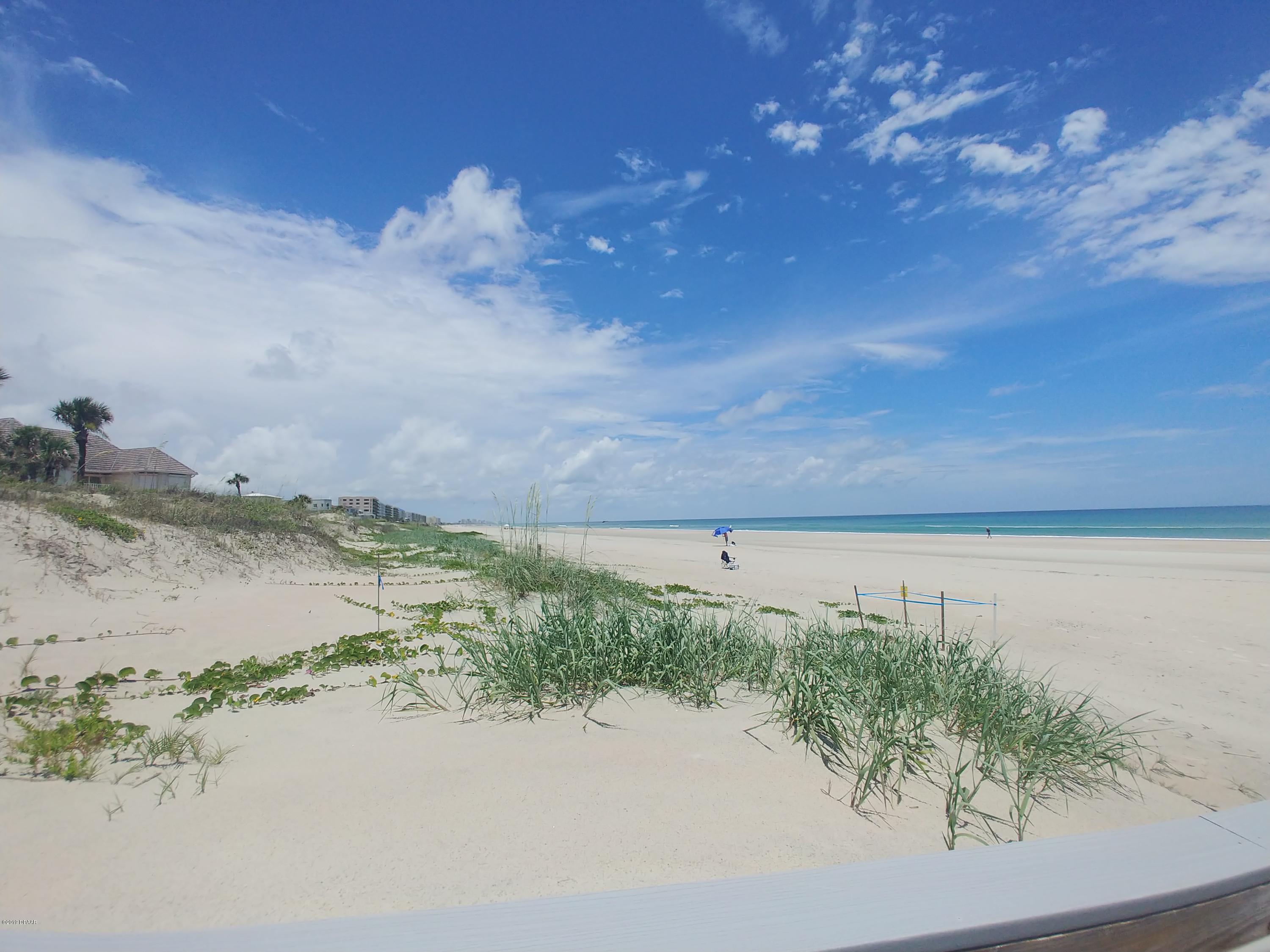 4723 Dixie Drive Ponce Inlet, FL 32127 - Photo 40 of 43 20190613_130856
