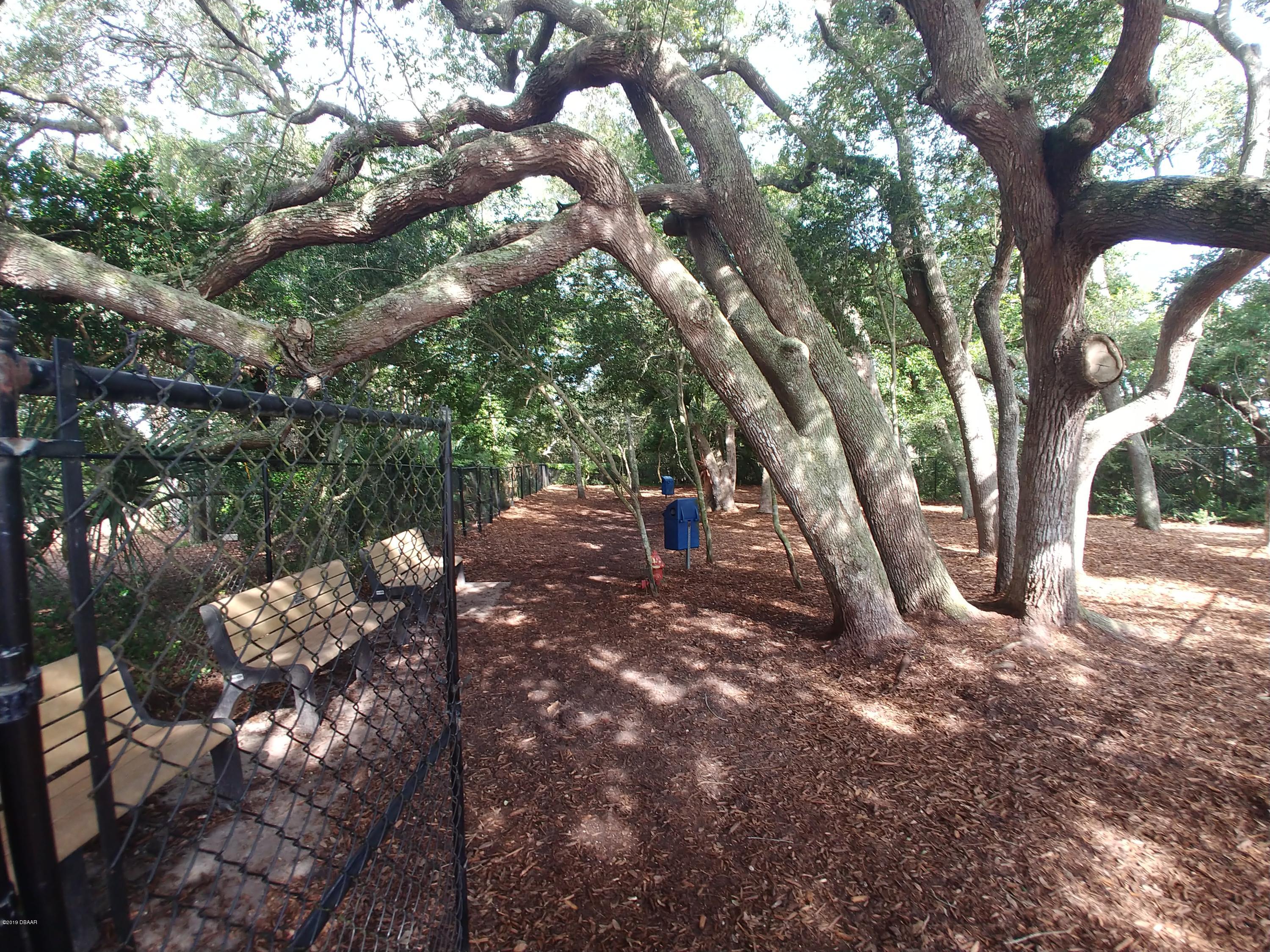 4723 Dixie Drive Ponce Inlet, FL 32127 - Photo 42 of 43 20190614_094216