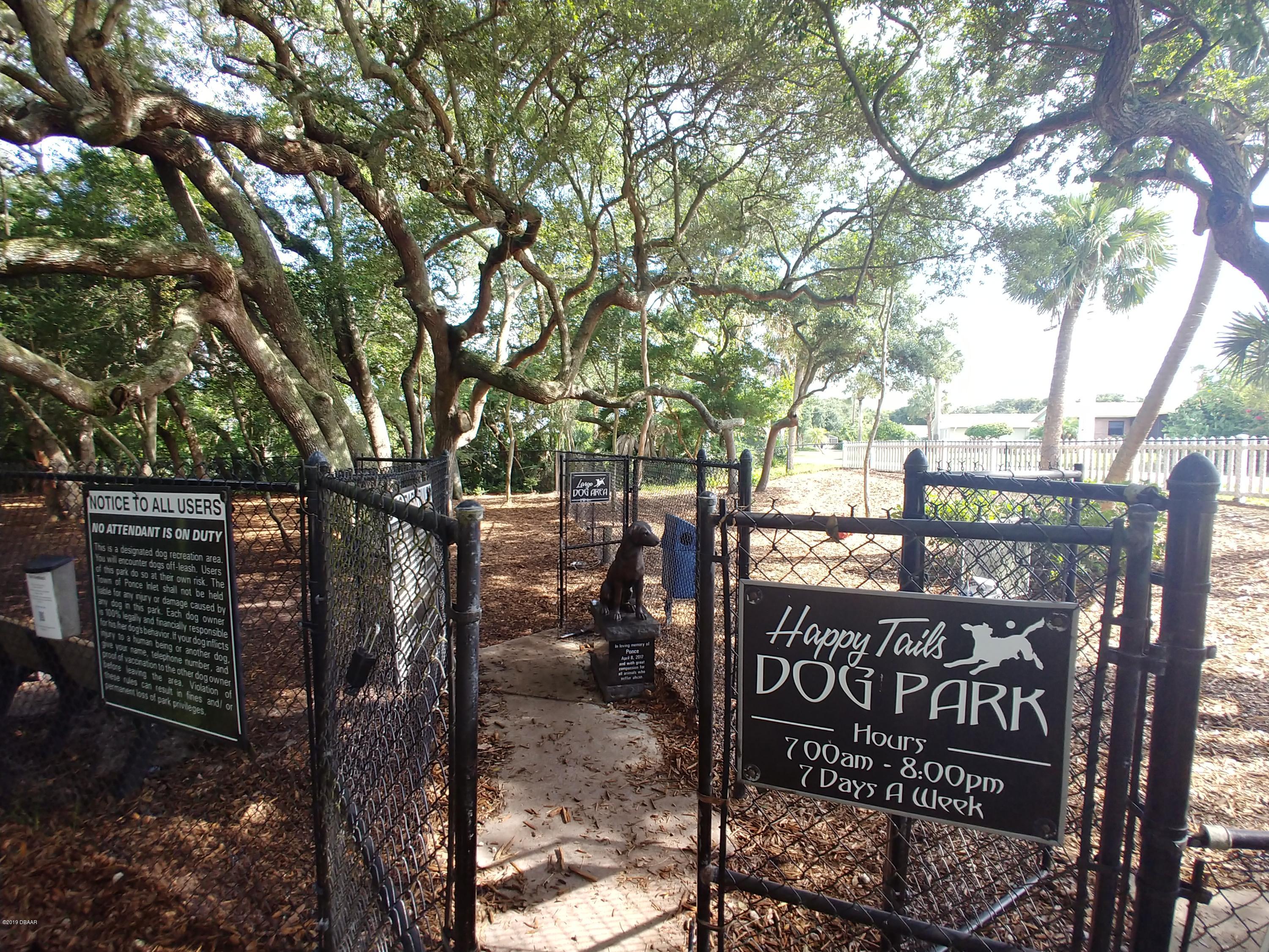 4723 Dixie Drive Ponce Inlet, FL 32127 - Photo 43 of 43 20190614_094207_HDR