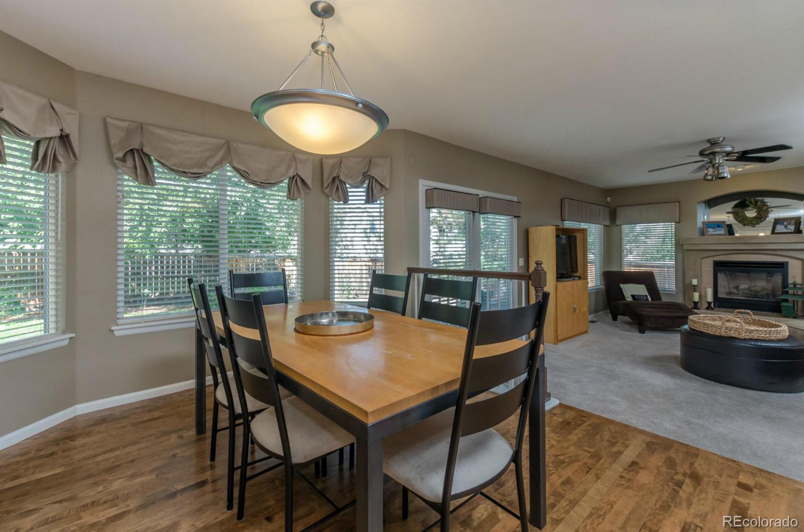 10127 Alexa Lane Highlands Ranch, CO 80130 - Photo 8 of 30