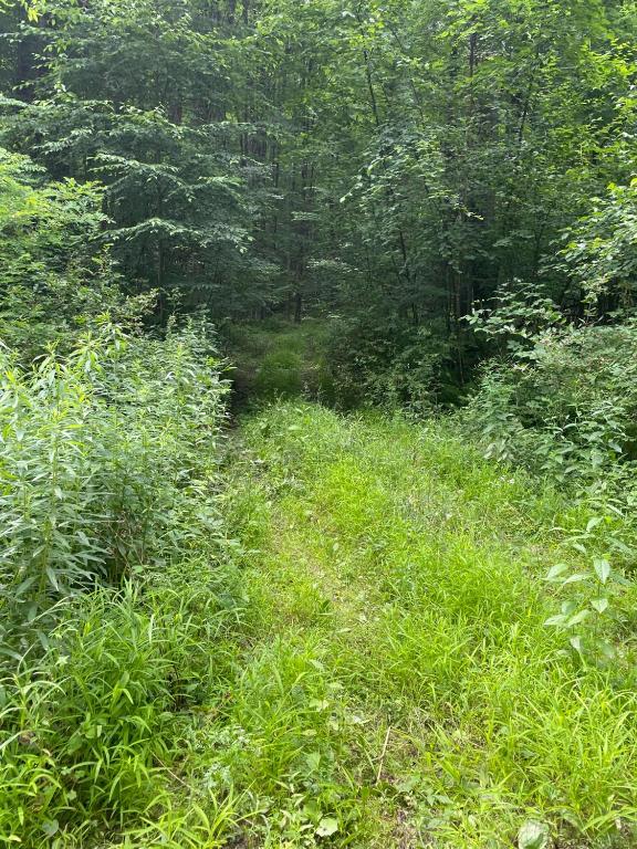 0 Todd Road Milford, NY 13807 - Photo 3 of 5