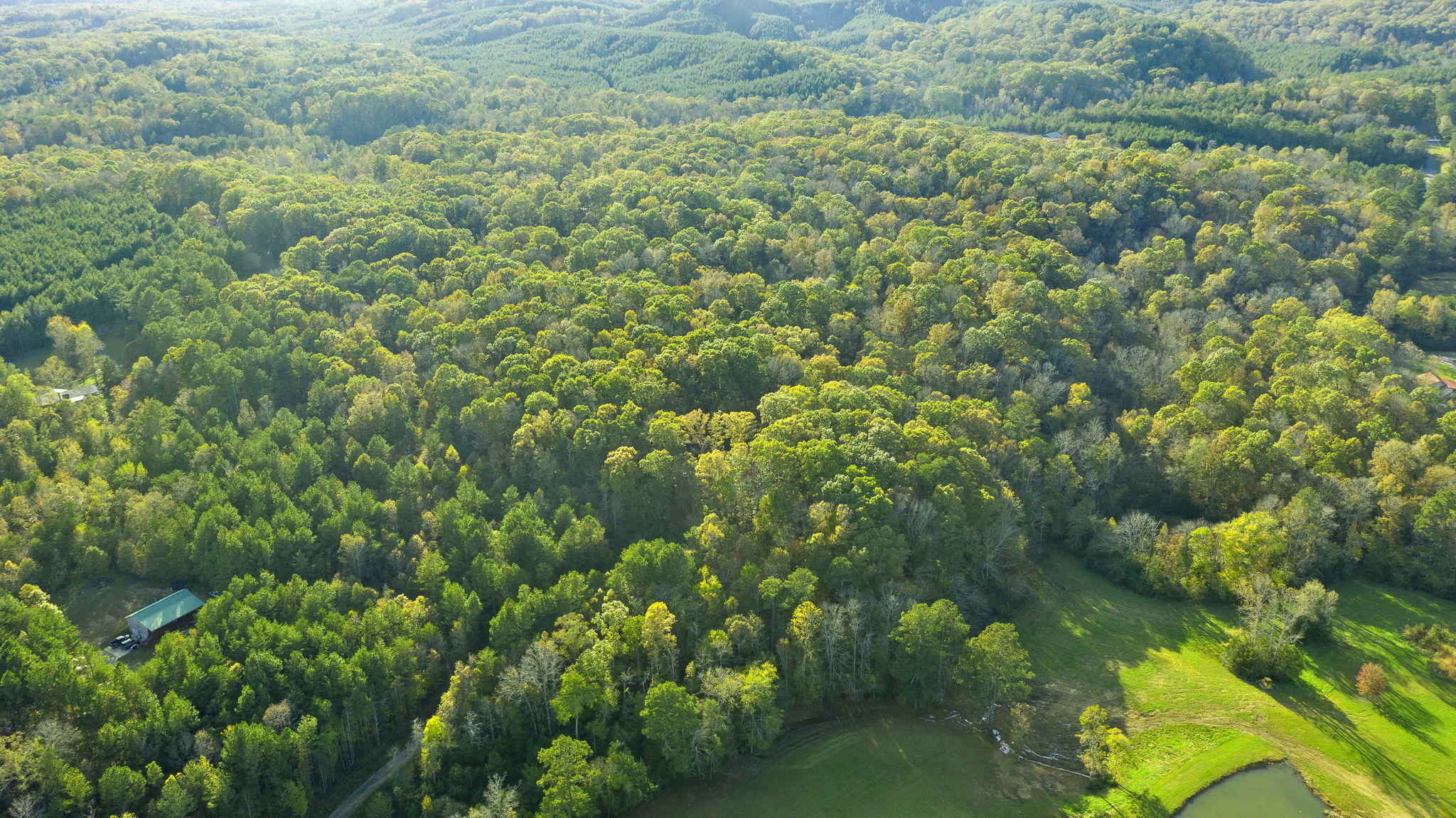 795 Moore Road Charleston, TN 37310 - Photo 13 of 18 14