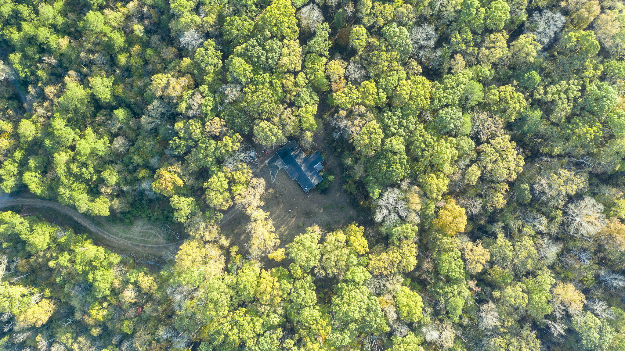 795 Moore Road Charleston, TN 37310 - Photo 3 of 18 12