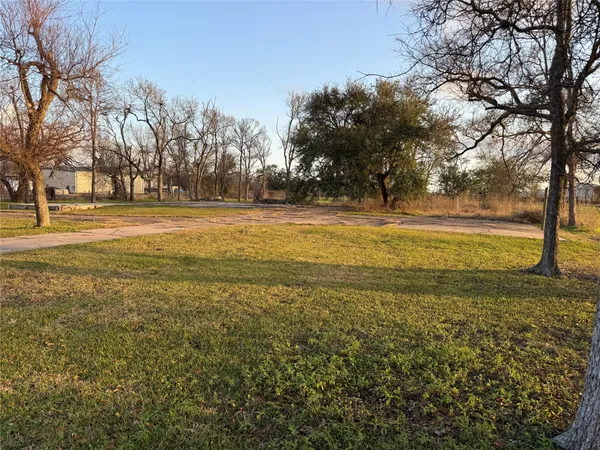 a view of a yard with an trees