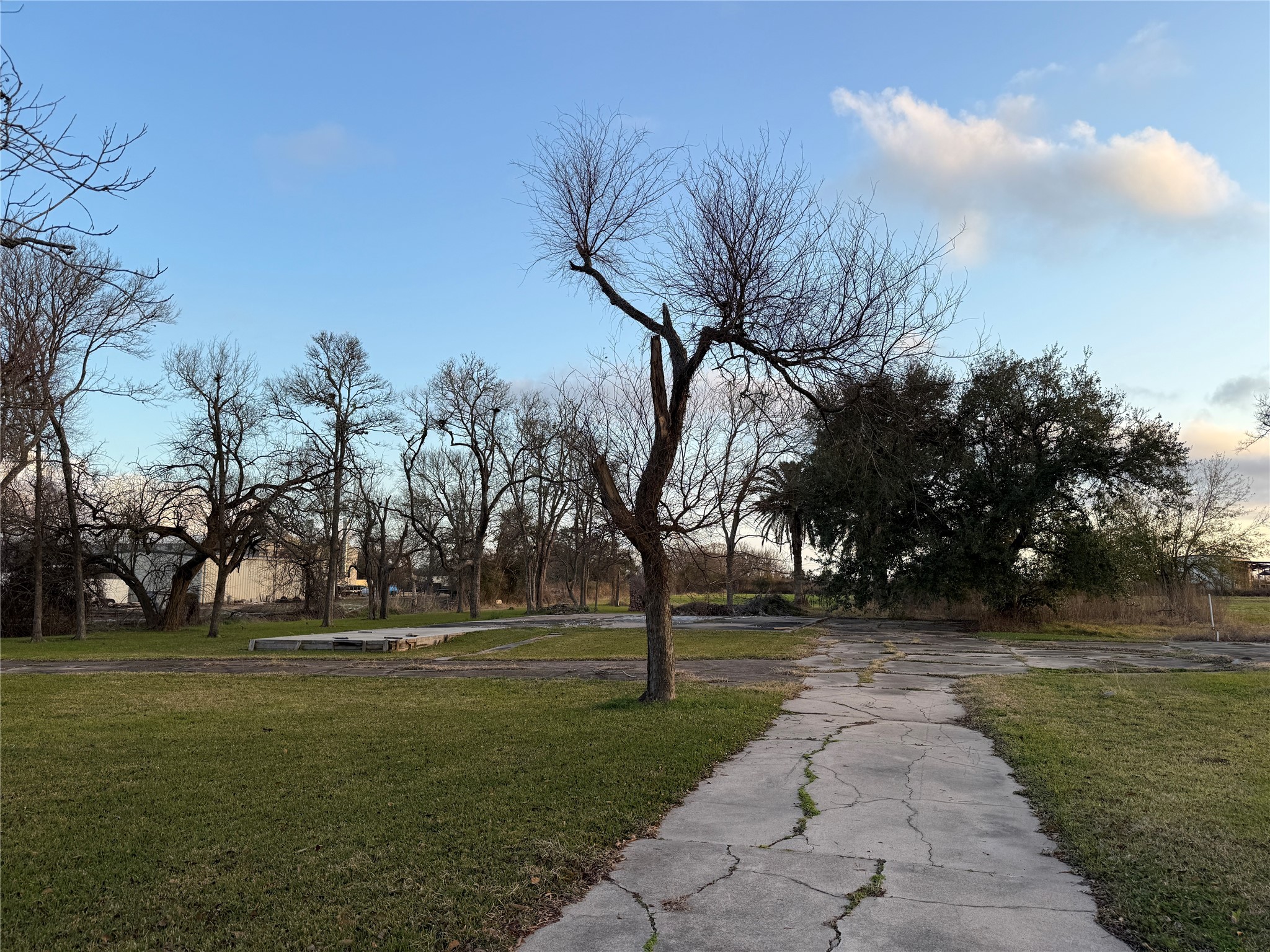 1001 Wilson Road Clute, TX 77531 - Photo 3 of 5 a backyard of a house with lots of green space and fountain