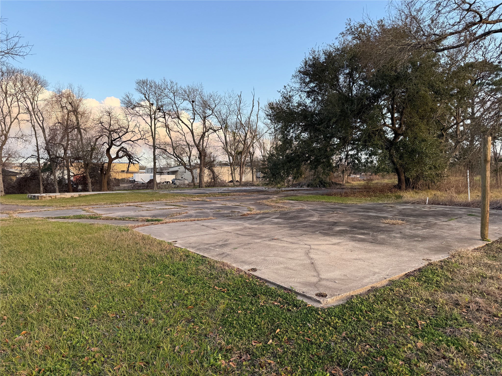 1001 Wilson Road Clute, TX 77531 - Photo 4 of 5 a view of a yard with large trees