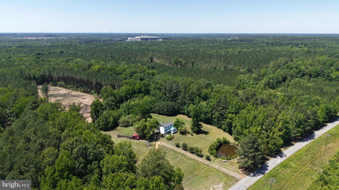 0 Freemans Cross Road Freeman, VA 23856 - Photo 19 of 36
