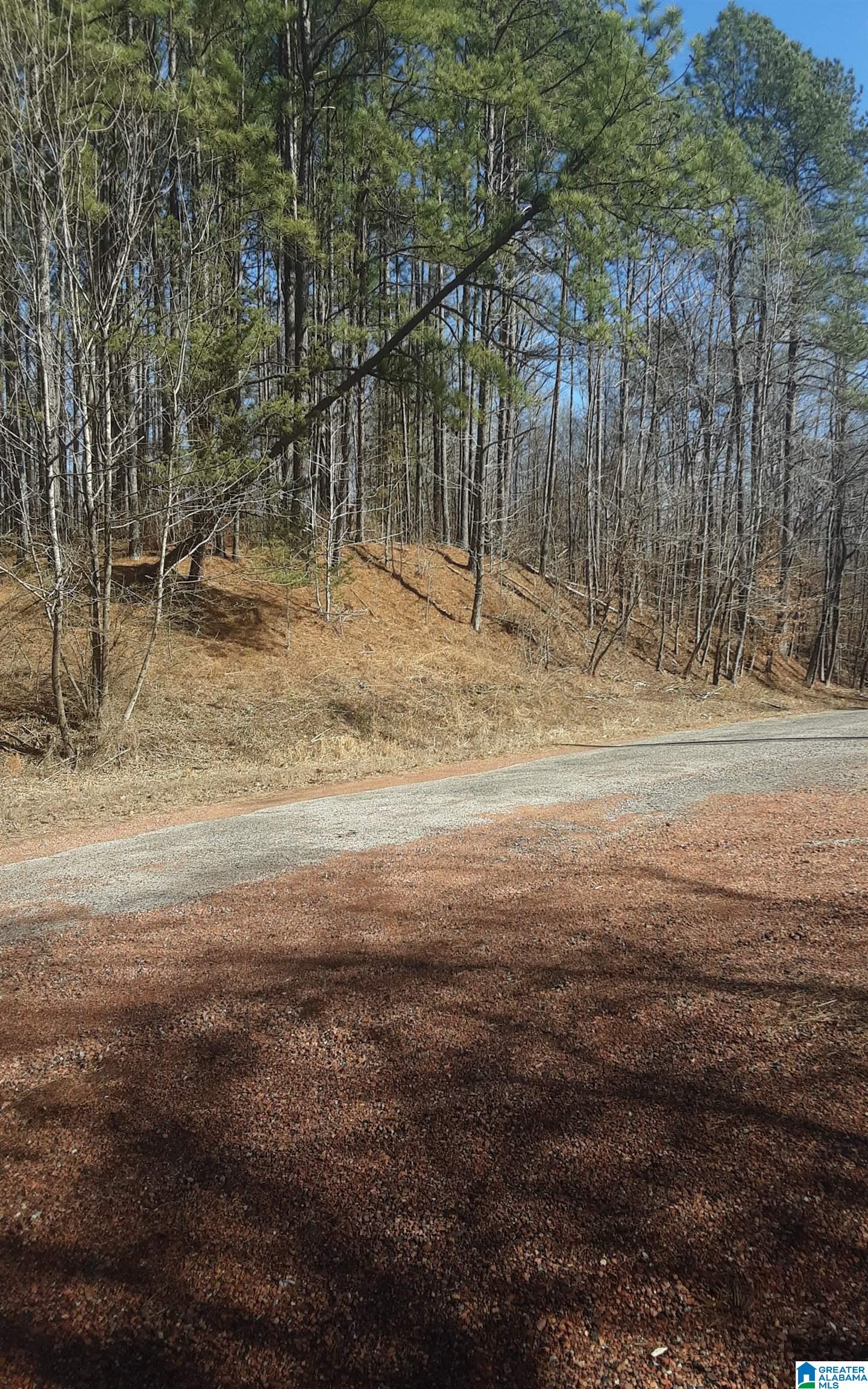 5385 Littleton Kilgore Road Dora, AL 35062 - Photo 3 of 27