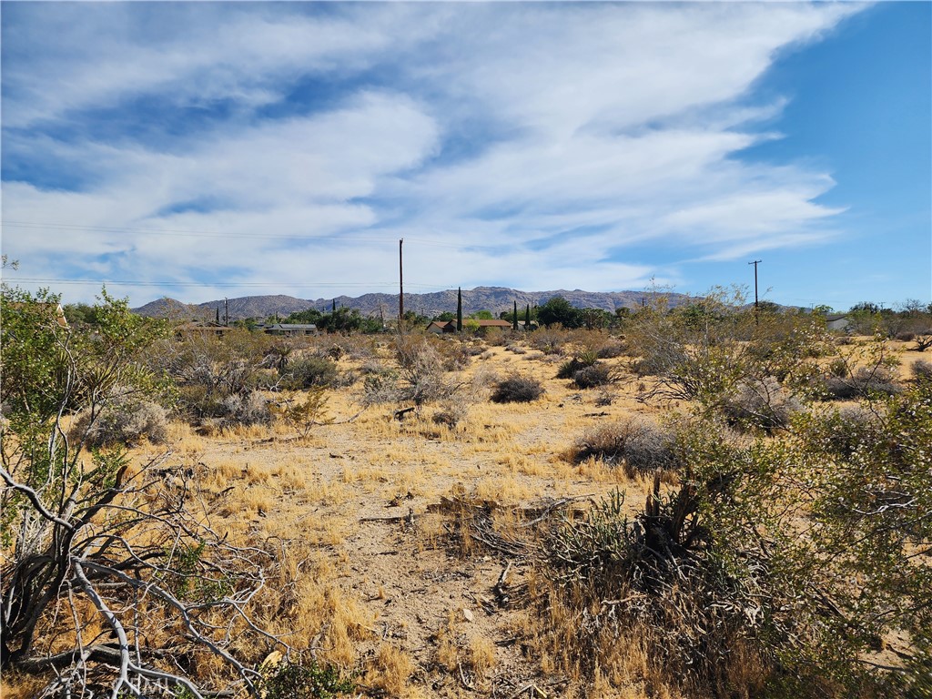61665 Division Street Joshua Tree, CA 92252 - Photo 4 of 20