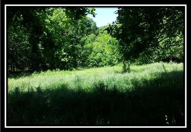 41346 Baker Road Pomeroy, OH 45769 - Photo 4 of 8